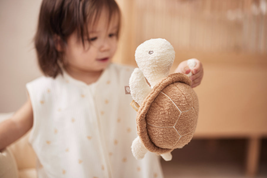 KNUFFEL | Schildpad
