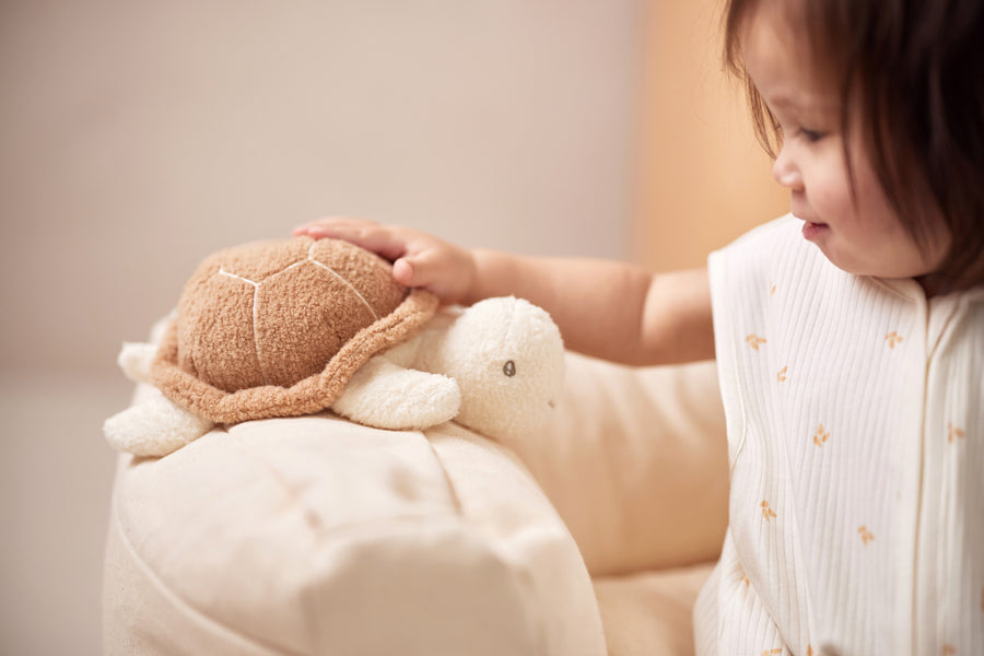 KNUFFEL | Schildpad