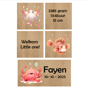 HOUTENBLOK | Fayen