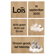HOUTENBLOK | Loïs