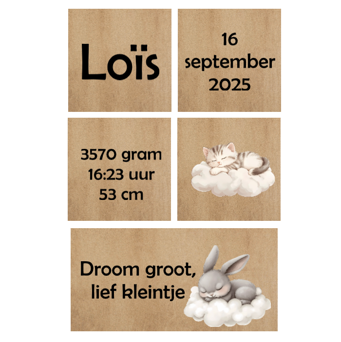 HOUTENBLOK | Loïs
