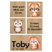 HOUTENBLOK | Toby